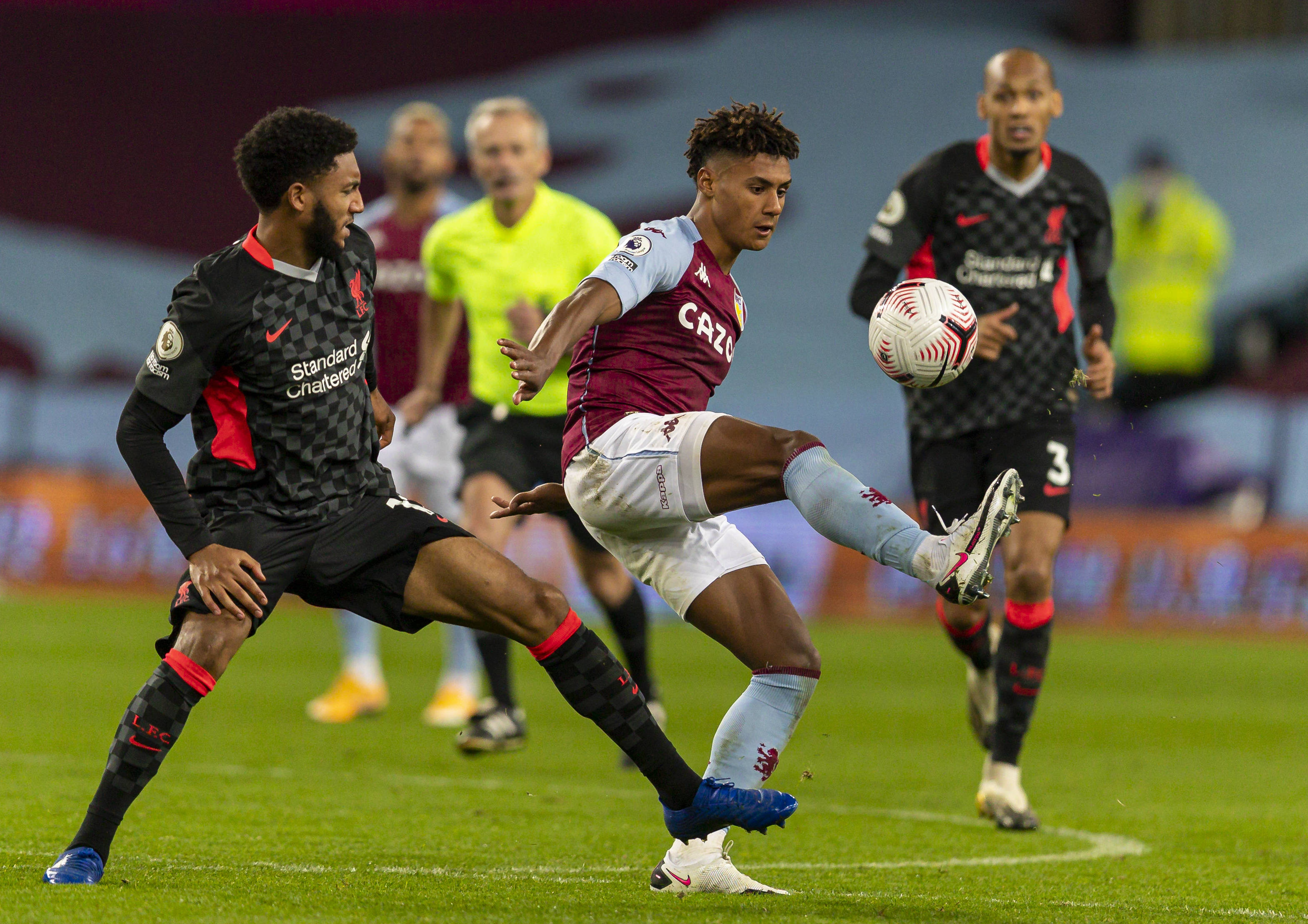 维单体壳 维单体壳